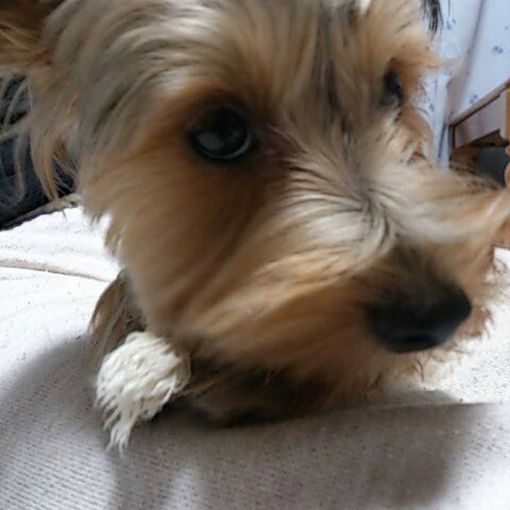 89202119 118c 47c8 a306 cd744d27b47d