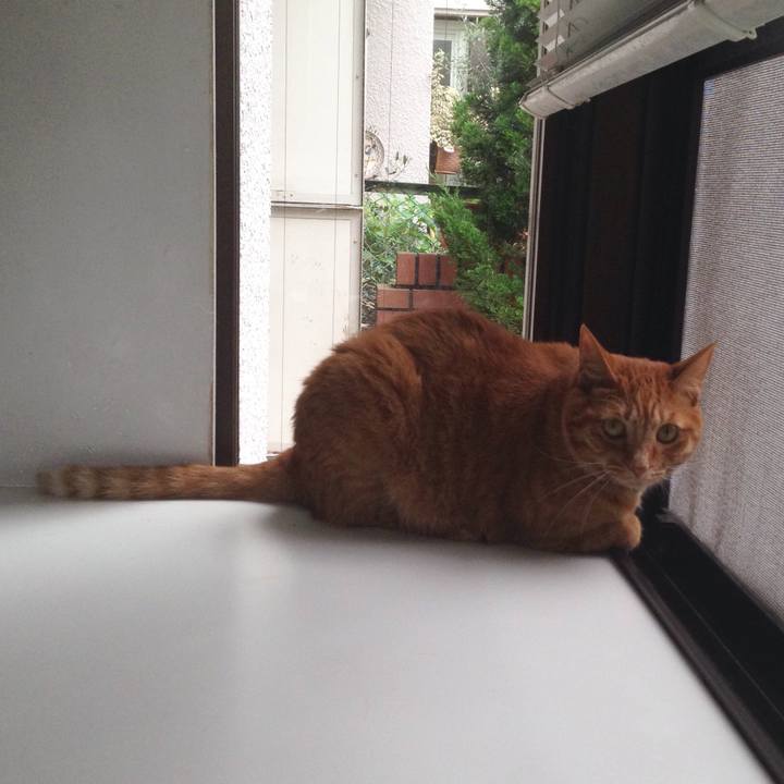 89216a48 1195 4851 aa0c 795ff2ec2d96