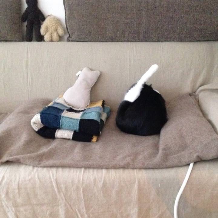 8921b87f 2d7a 4ccb 9e9c 5a9b0abcfa65