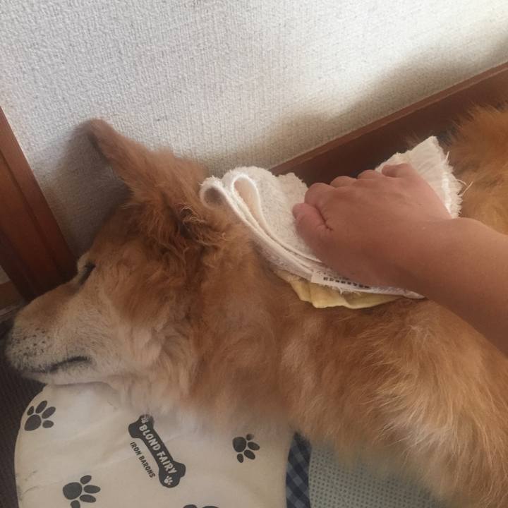 892249bf f24f 41fe 98e5 48faa47574fb