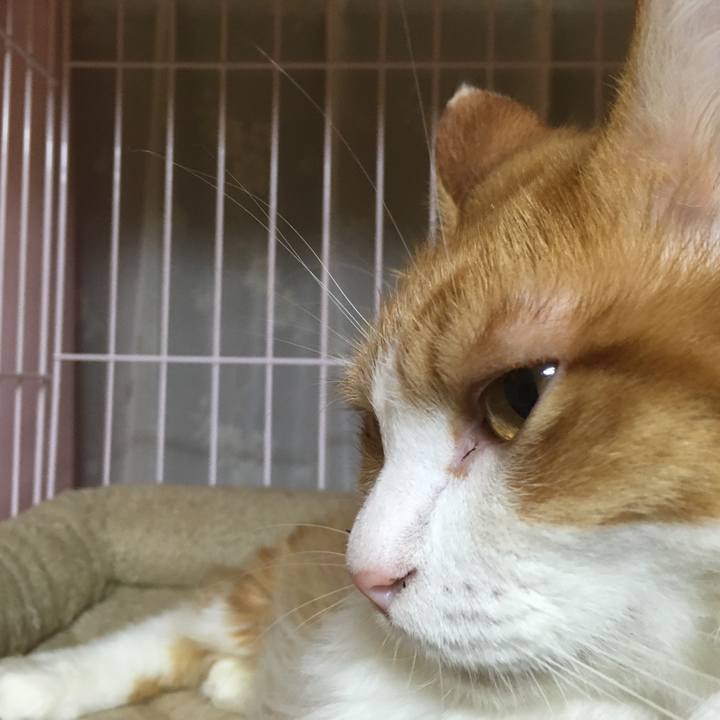 892255ee 0b9a 44f4 9f08 ac834a8b7c2c