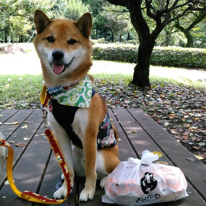 8922a714 acb9 4097 a4a0 e261e6c4df56