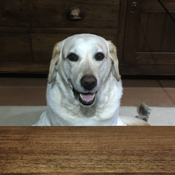 89233a7f 568d 4401 96bc d9339f9b244f