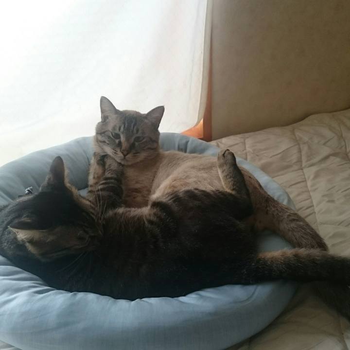 892349de d218 4dee 8596 f182f1932f8f