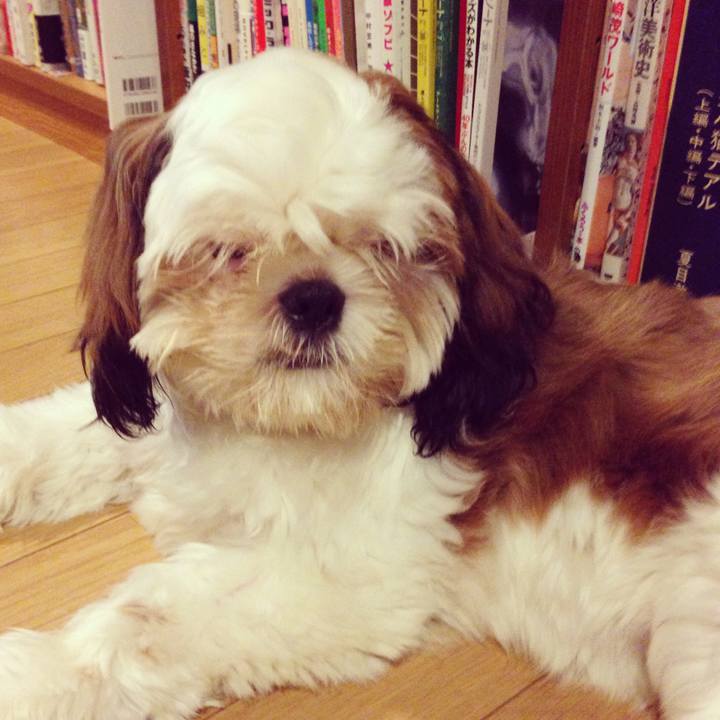 89236909 16e4 4c95 8b60 1d3fbeb2ff51