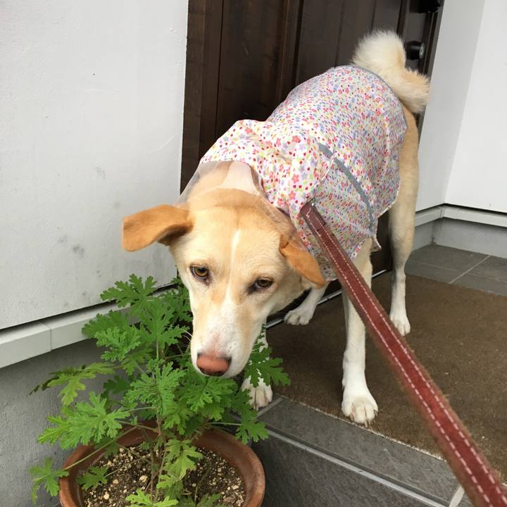 892375ad 1ea2 4ff2 aabe e432544b0d1d