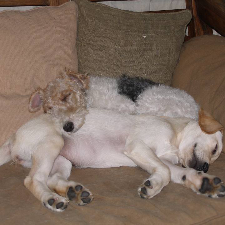 8923fbb3 61a7 416d b30c a920342f9a12