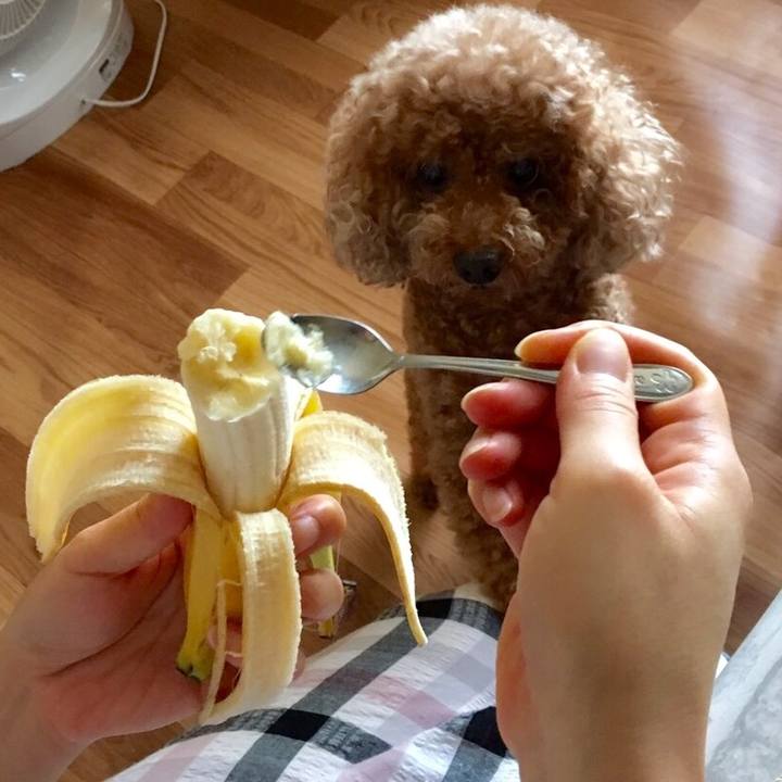 89241385 e67f 4777 a437 c3e72a7a62bc