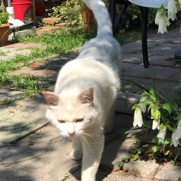 89242587 85e9 414d 8501 c7d2a1706357