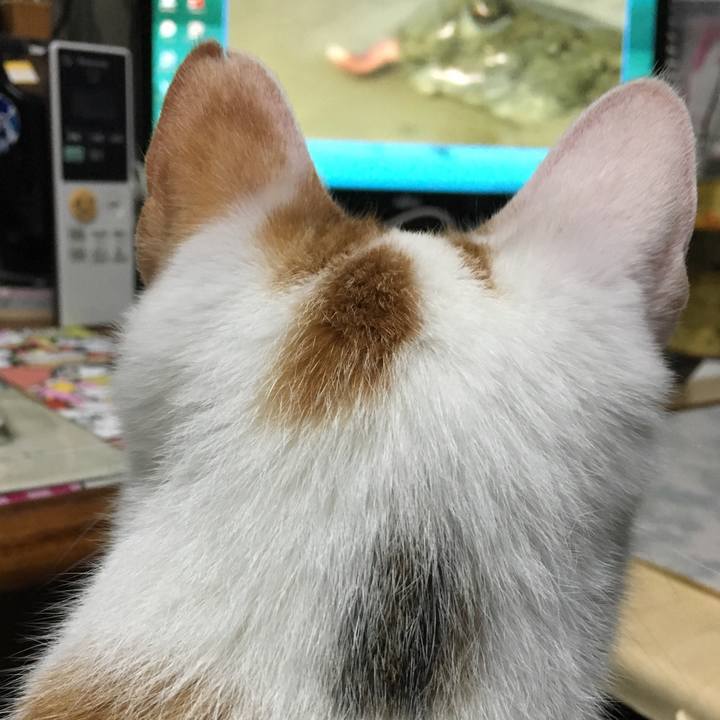 8924a22b 290e 4381 8e67 efa45a5640c1