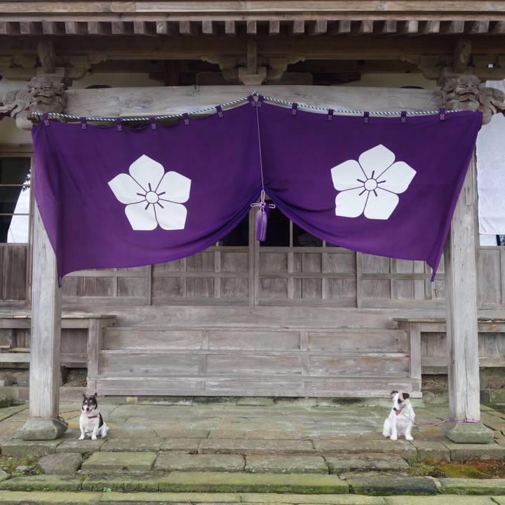 8925071a b382 470d 9e51 8ce66580d77e