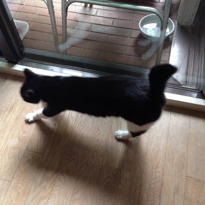 89257079 f2a1 4ba0 8540 bb98abc23ed1