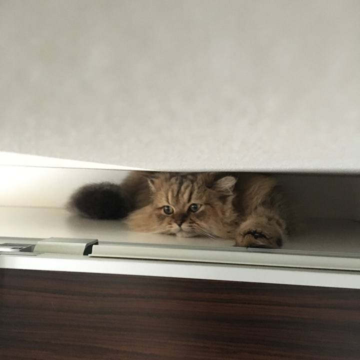 8925c9b1 beca 4fcc a9d4 101a0f391912