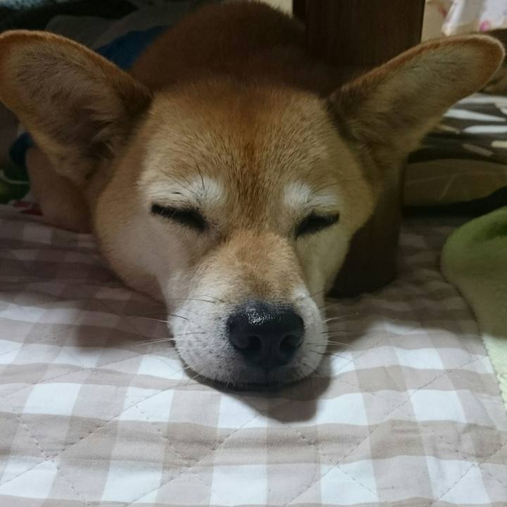 89260c77 e958 4df8 99dc 05e55e42da55