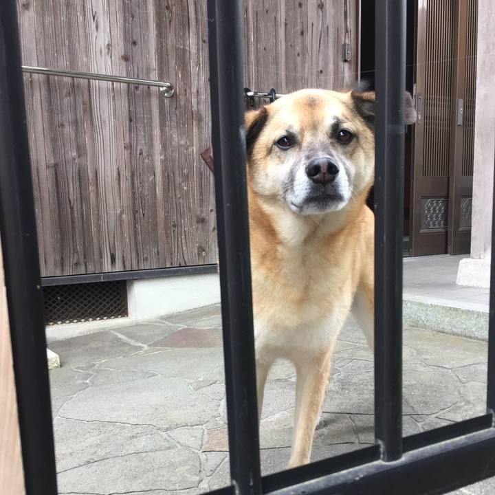 892653f6 6e12 406a 83f7 00f0f5190f83