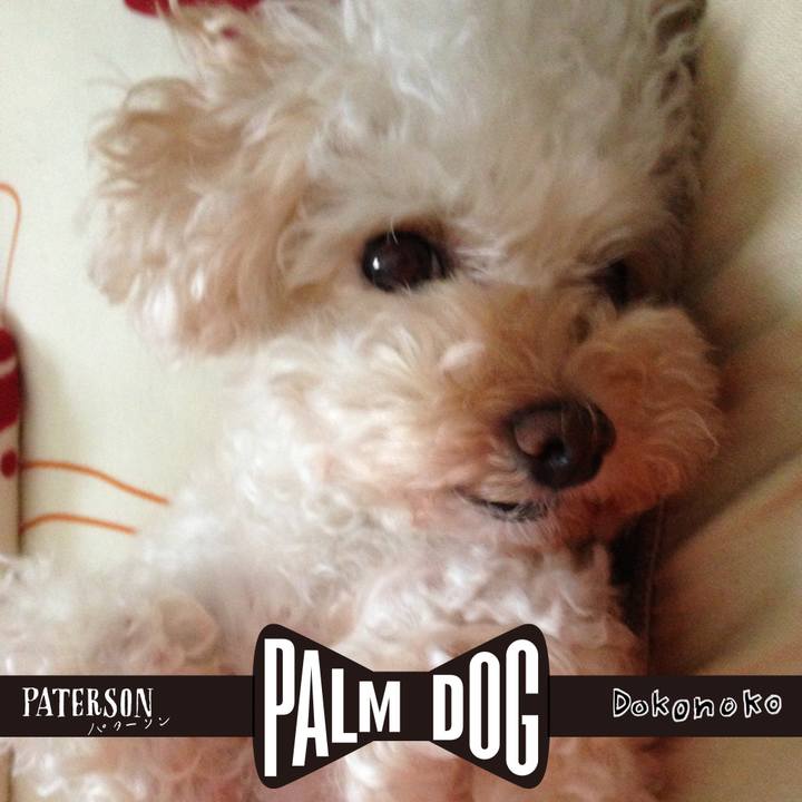 89271baf e31a 4654 a6ea 502bef8b919e