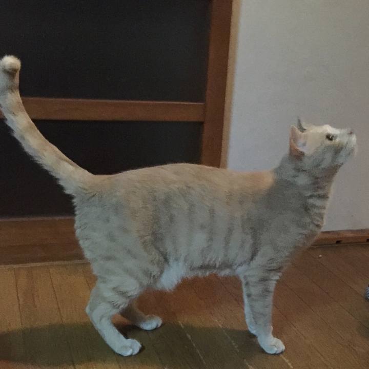 89272421 6d36 4d1d 8b3a b543f576c3f4