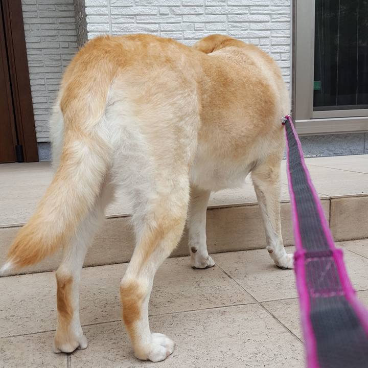 89274761 1699 4b57 a7e7 c46367f8efe0