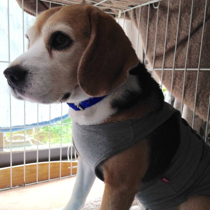 892782cd a09d 491f 8b41 8e56c9cafdd0