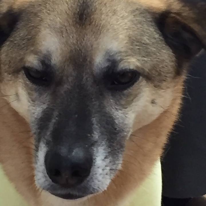 8927dcd9 1264 4db9 b284 20b8b28e0fc0