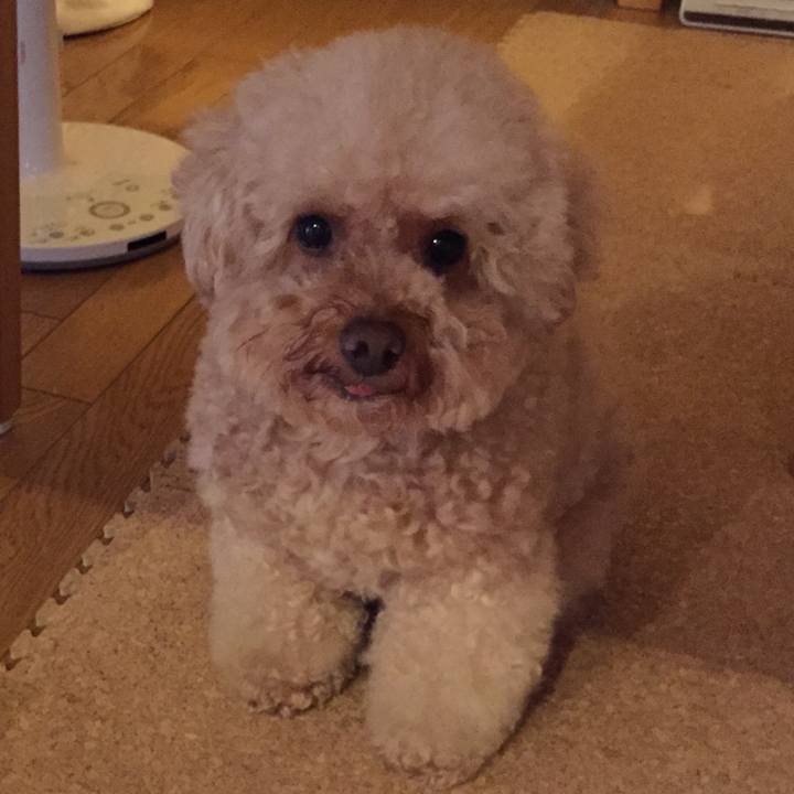 8928ccc5 e37c 432c 9039 9e78e3c15fc7