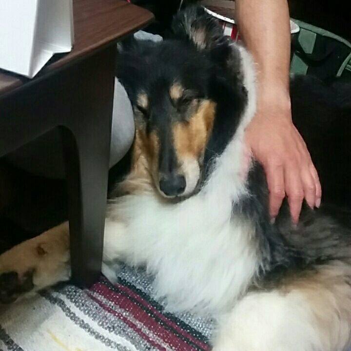 8929e8ee c105 400f a252 54c403b7c32f