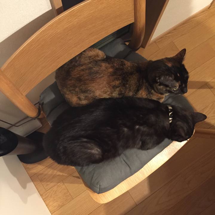 892abce4 8584 48ef 9e5a f264b08c900c