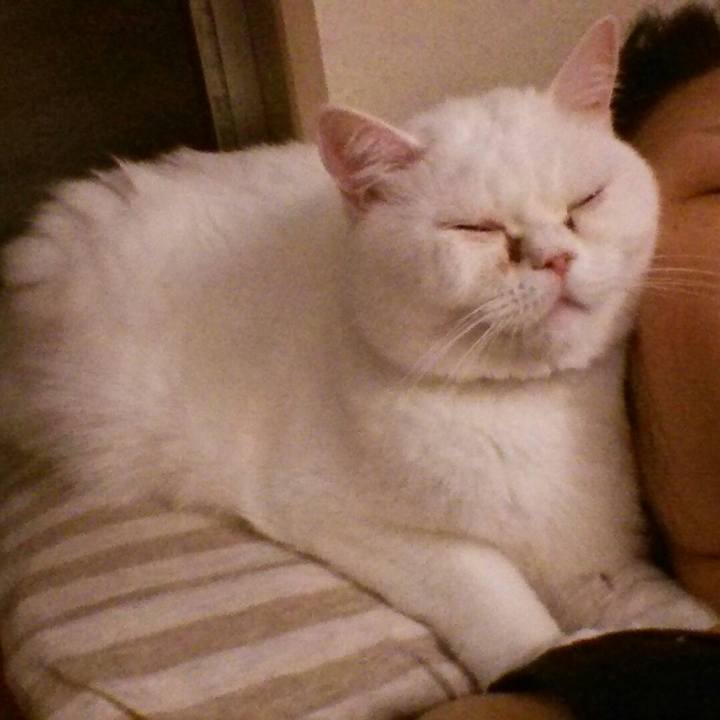 892b8510 d987 4ae1 9160 1e6d2178f888