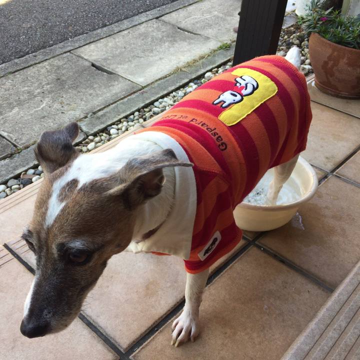 892ca93c cd96 4758 b113 64abb30a3cdb