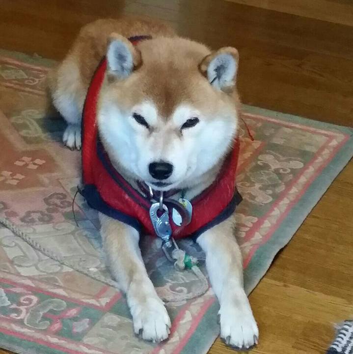 892d7350 c780 4104 951a 2e8487f97bc0