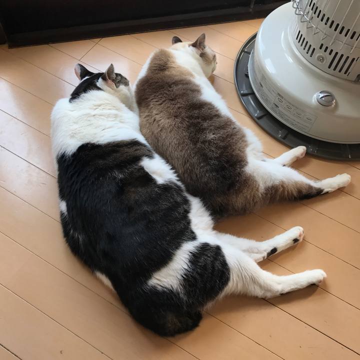 892d9aae d7b4 4b02 96b2 b236450d8396