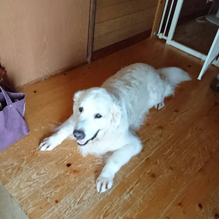 892eb435 90f1 4eb6 a035 868abbea7e34