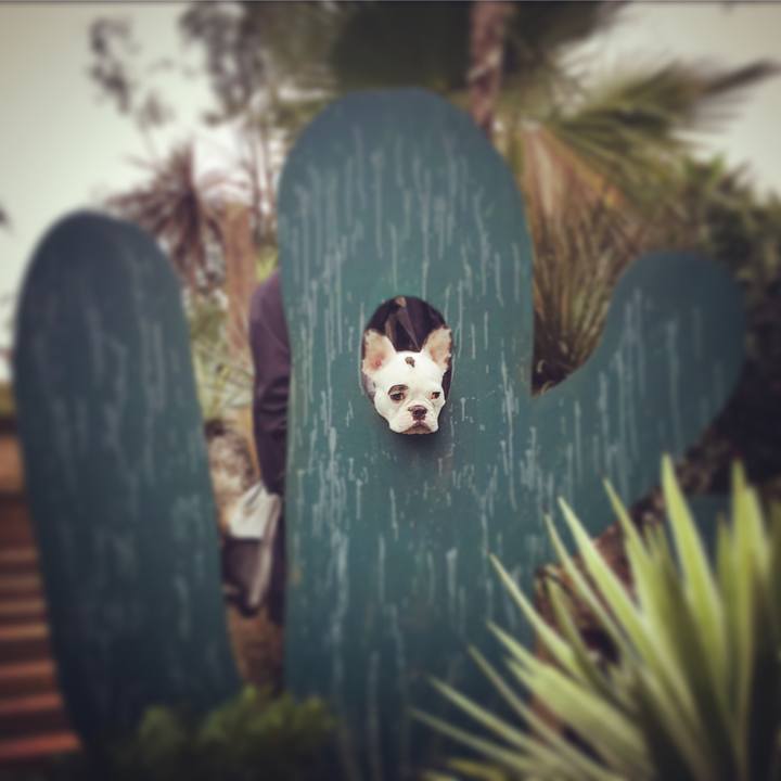 892eceed e5f3 418c 86d0 5e9031143b8a