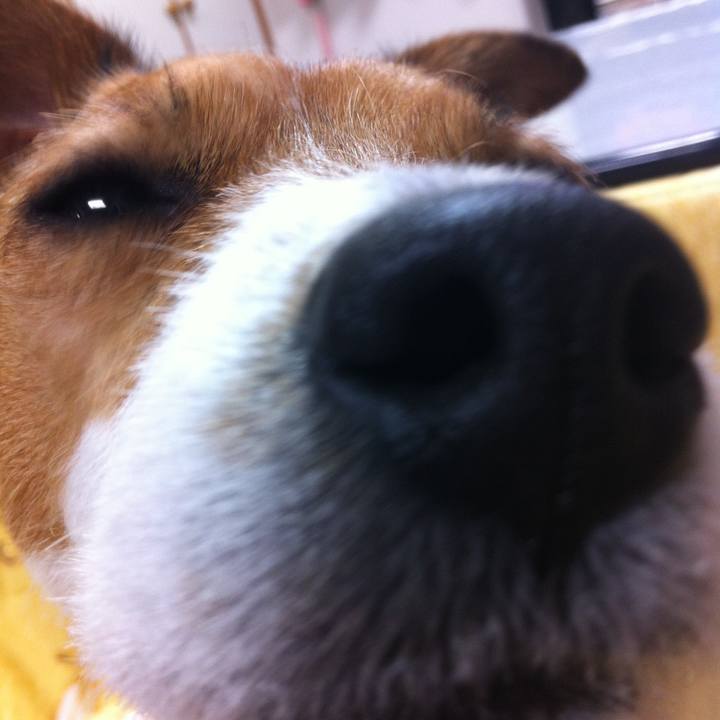 892f772a c3af 484b b57f 972d2fc9bf7b