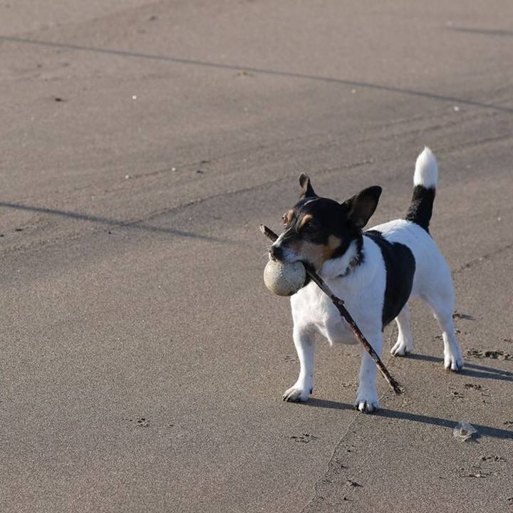 89315d34 0742 427e 9ca3 1f35a1add88e