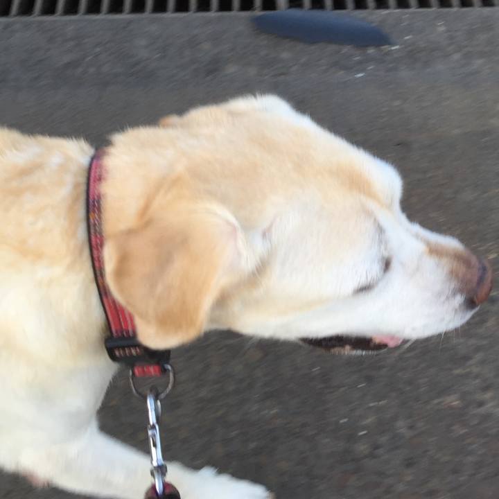 8931c3d5 7a84 4fd5 89a5 555f31e05d8d