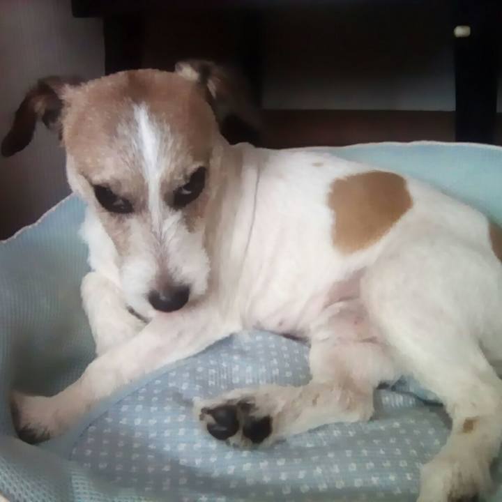 89327c68 ff30 4308 a776 8e96c80860cc