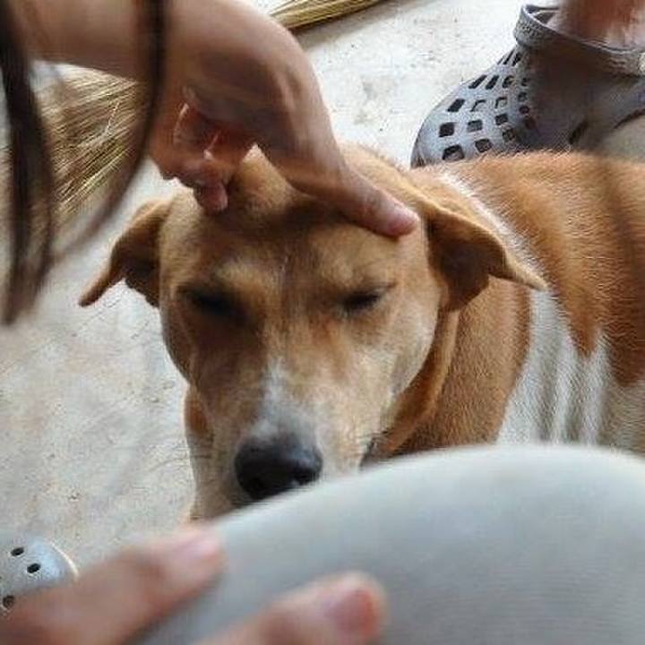 8932c94b e10f 47e0 a73e 66964a633e28