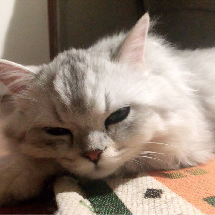 8932f8fe 608e 4ce5 b0d2 41569639caca