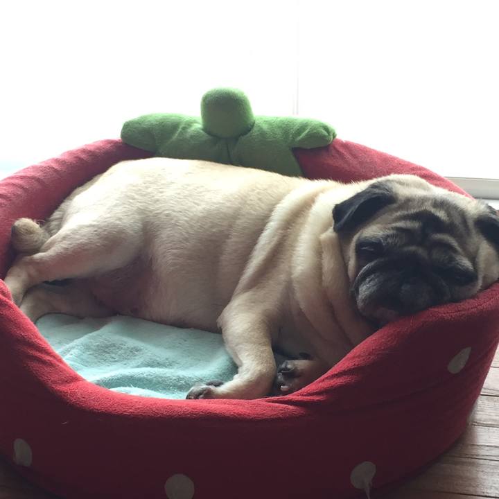 8933213e 144e 42d7 9e79 eb062aa235d8