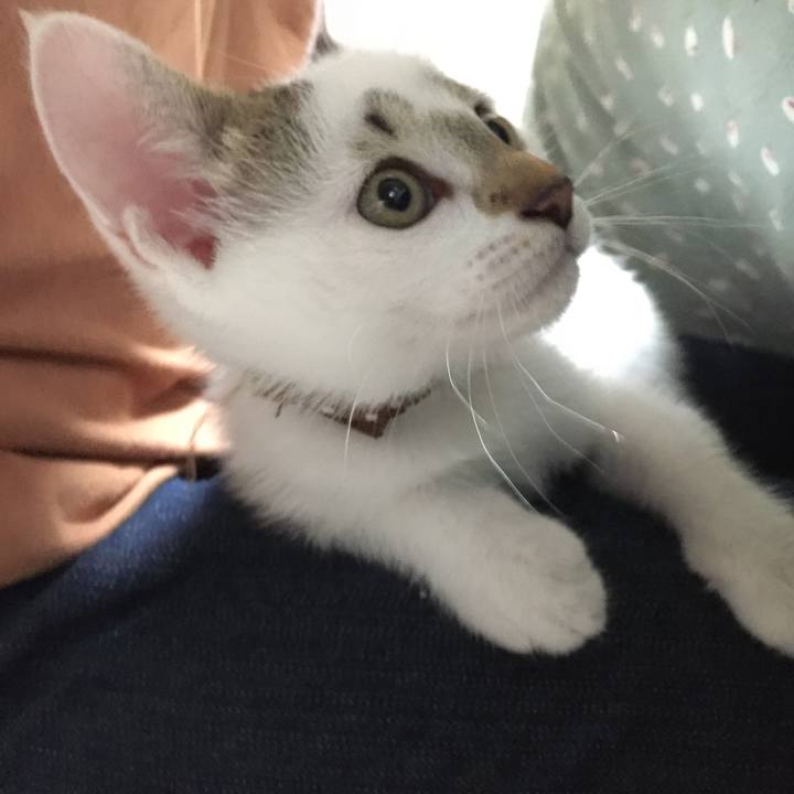 89336c1c d29d 41a4 be61 c2e03fda3e71