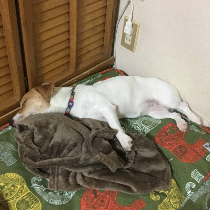 893373e7 27fe 4966 8548 055e997fd3e9