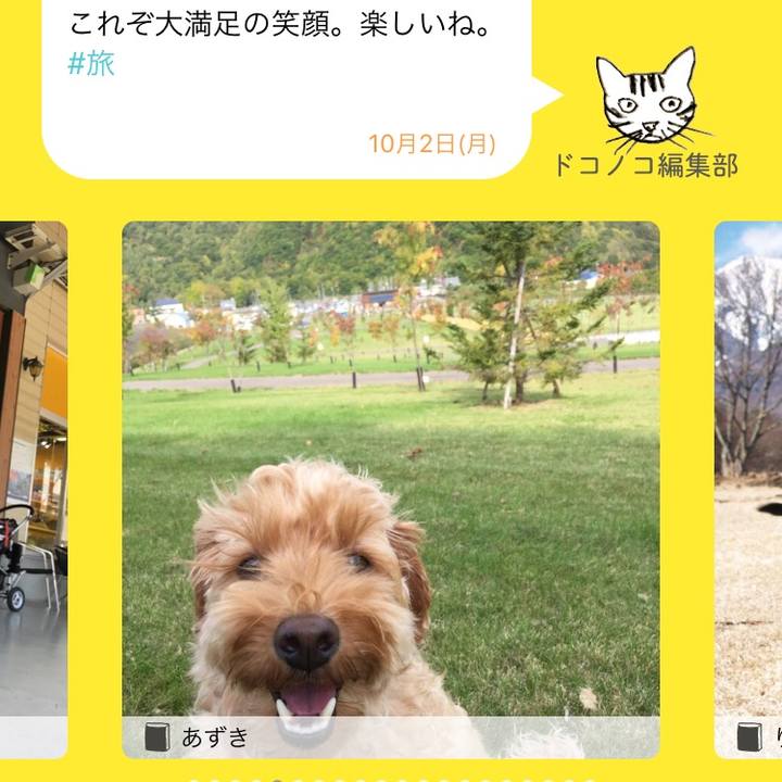 8933e9ff 422f 4dae 944f d74b30d6361e