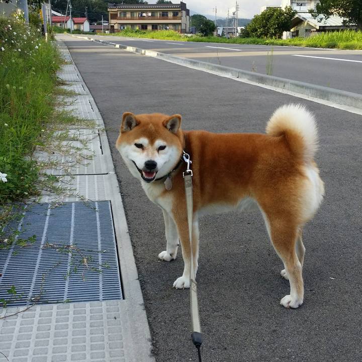 89342355 2685 47e2 9b07 9ba4da4441ba