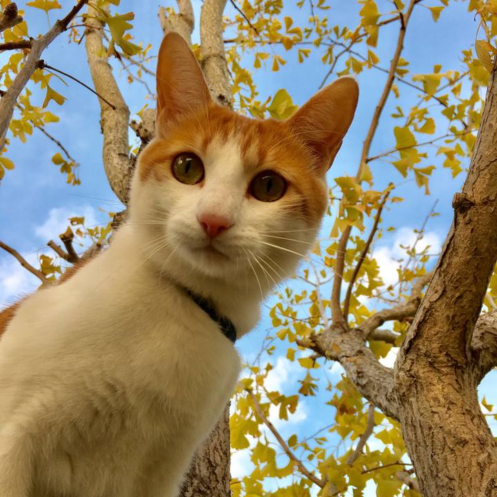 89343727 a68d 4e9b 9dfe 09ad1c1e5495