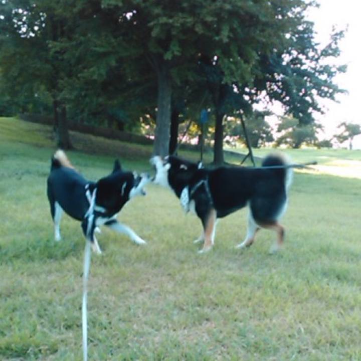 89346c45 a511 4325 b93d b17d5eabd38c