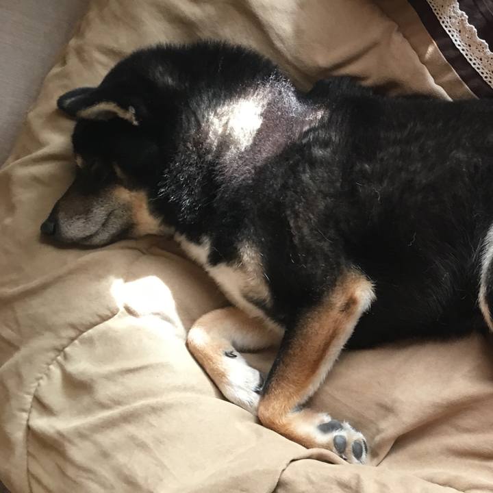 8934cbf8 f563 48cb 9156 4487c8219730