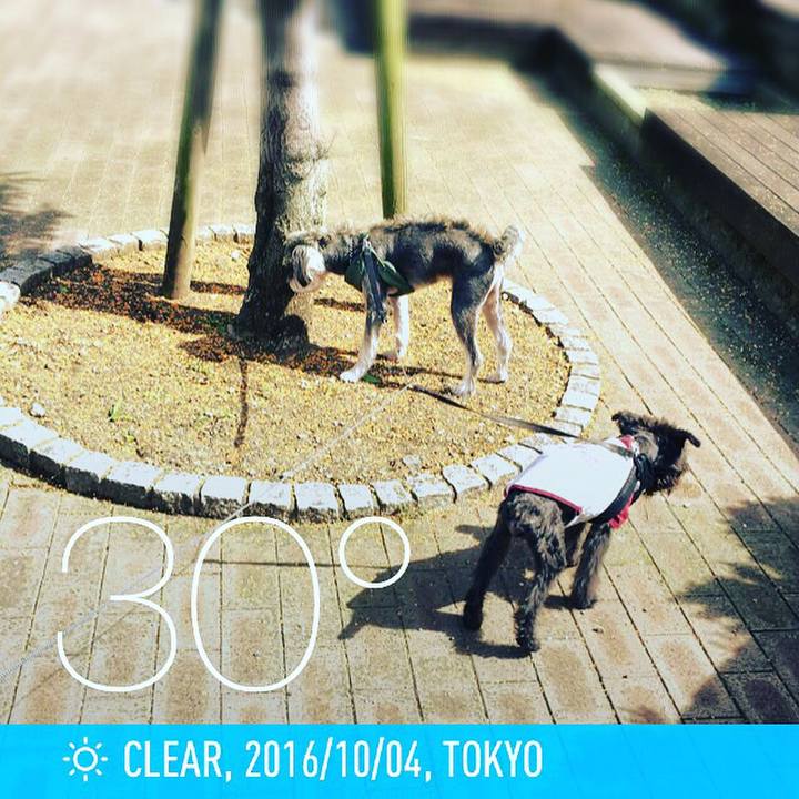 8935ce3f adf1 4bef b521 5268e94fb8cc