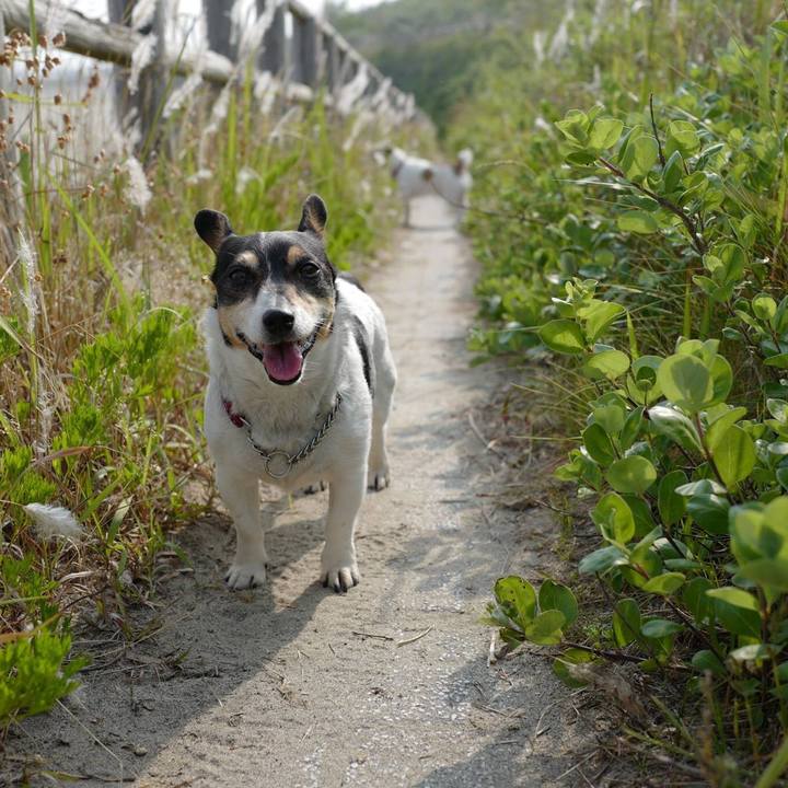 893603af 0dac 423c 945e 03559e754a1b