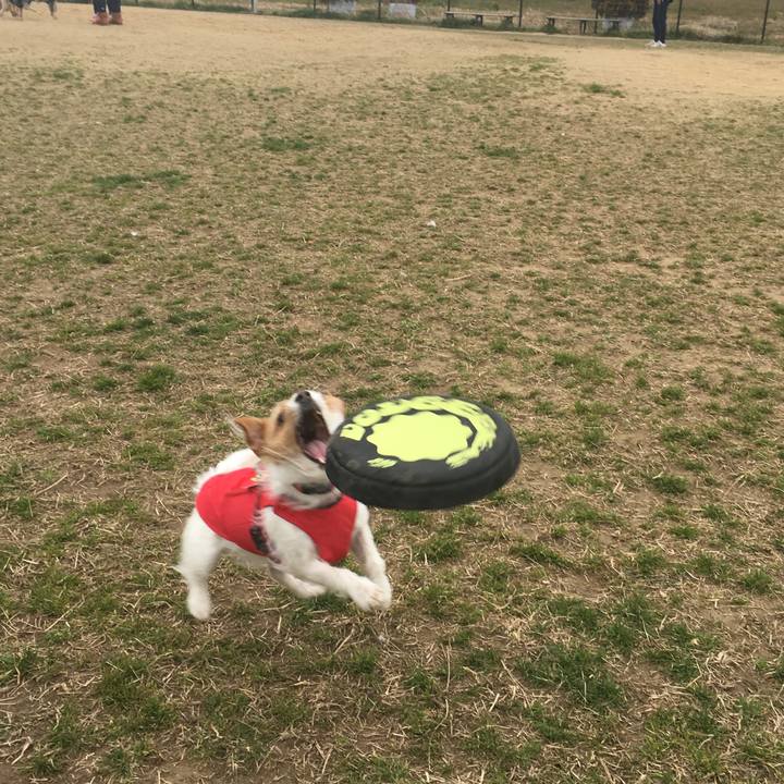 893614f5 e2d5 433c b4bb a296e54d6d25